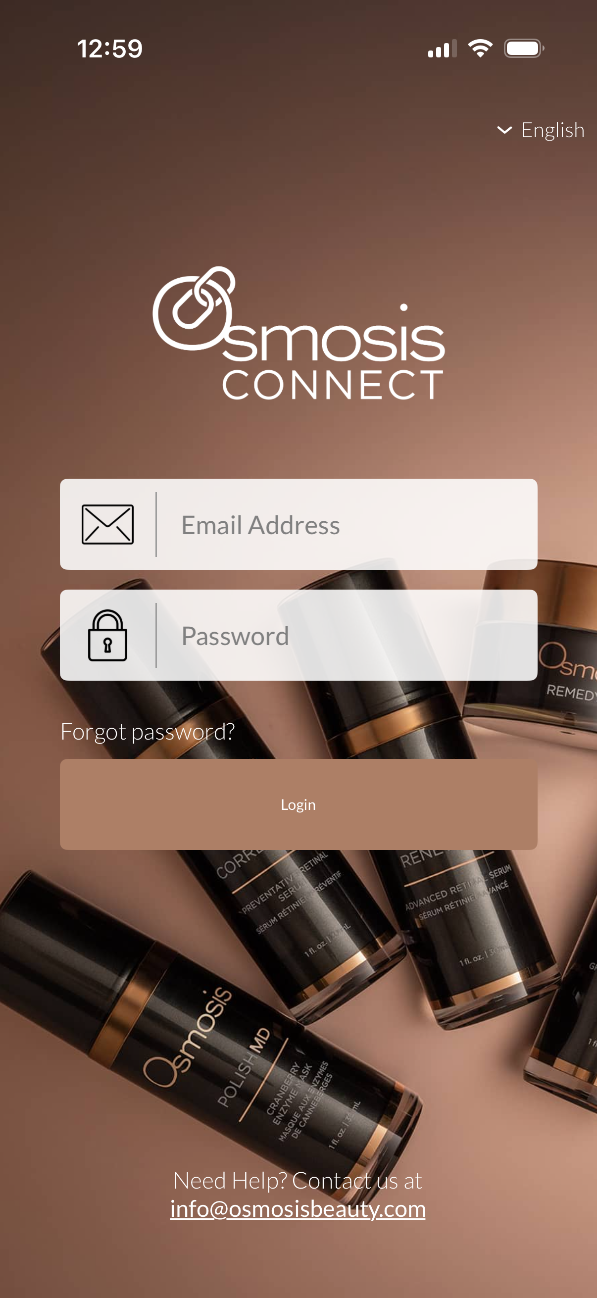 Replika app interface