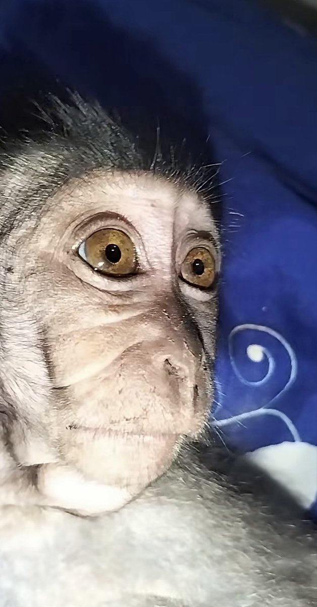 Buyuang sideways close-up stare