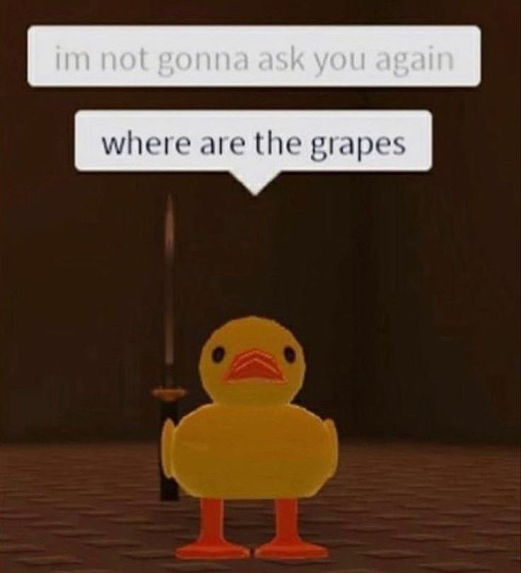Im not gonna ask you again, where are the grapes