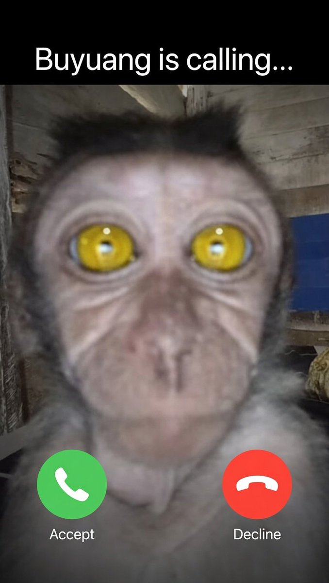Buyuang is calling