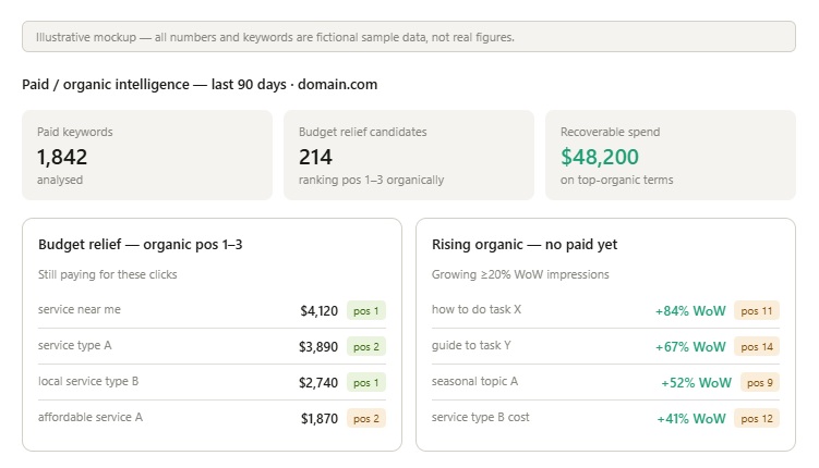 Paid / Organic Overlap