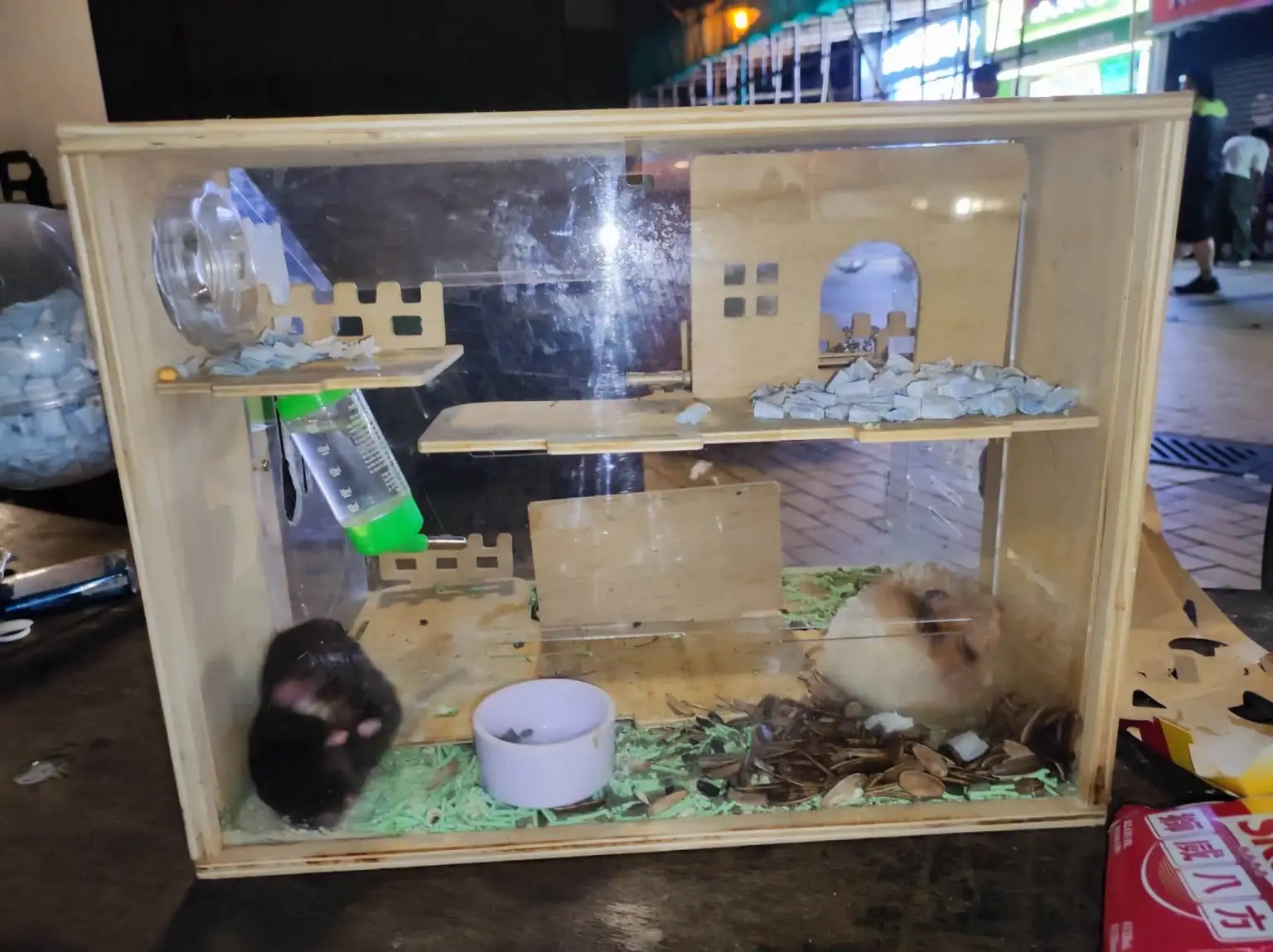 PETA Asia Offers HK$50,000 Reward for Information in Suspected Hamster Abuse Case