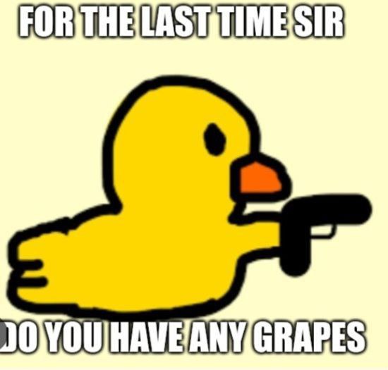 For the last time sir, do you have any grapes