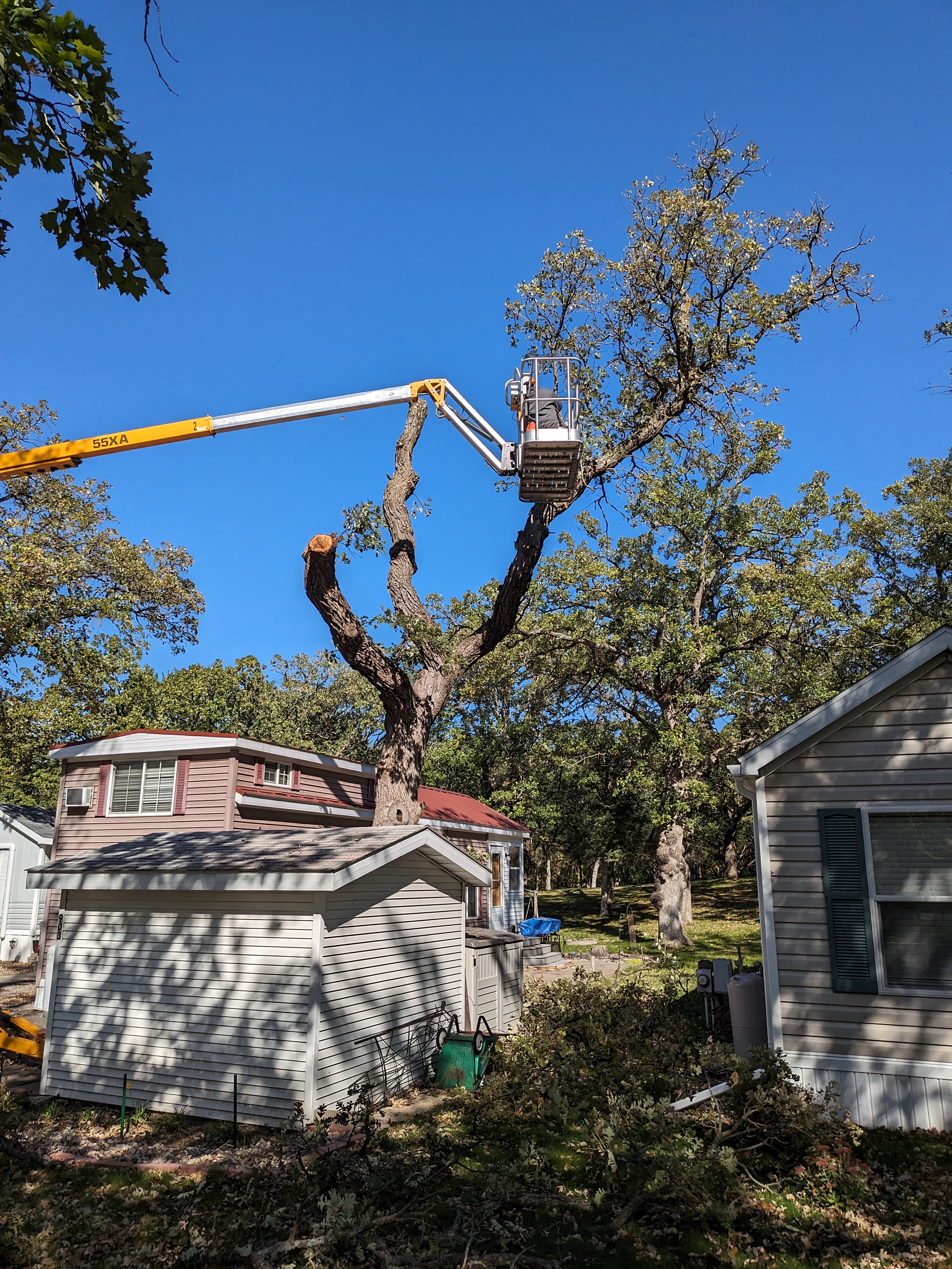 MN Tree Crew commercial job site