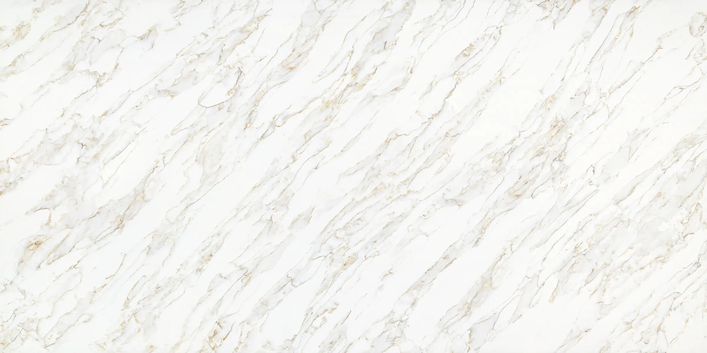 TCE 4042 Seraphina Oro surface sample