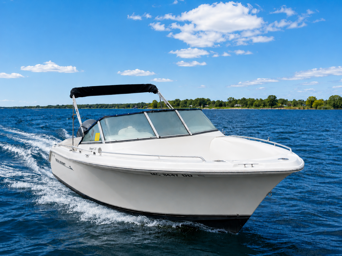 The Sea Hunt - Capt. Michael H. Anderson