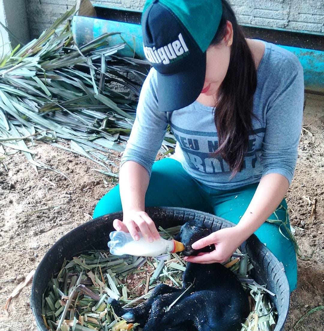Animal Health