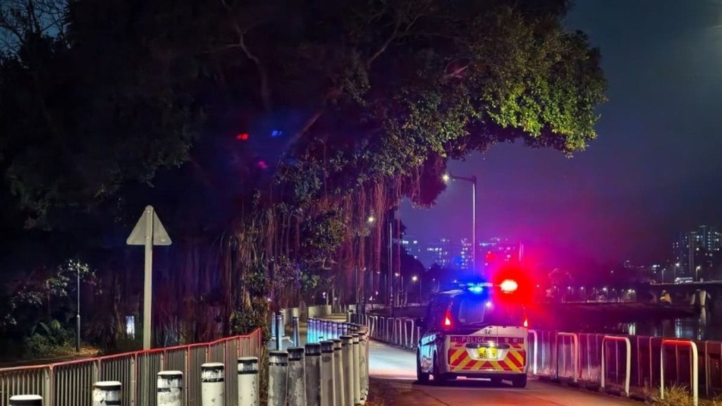 Police Step Up Patrols After Fatal Yuen Long Dog Attack as New CCTV Cameras Installed