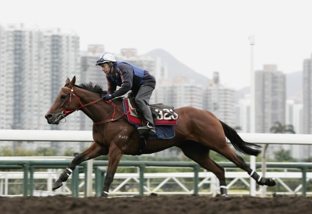 Why John Size’s Barrier Trials Can Fool Even Experienced Hong Kong Racing Fans