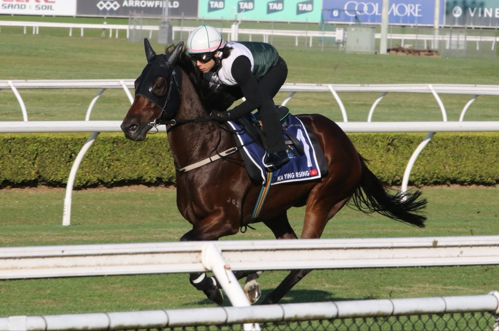 Ka Ying Rising Steps Up Everest Defence With Sydney Trial