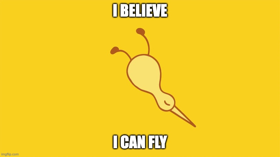 I BELIEVE I CAN FLY